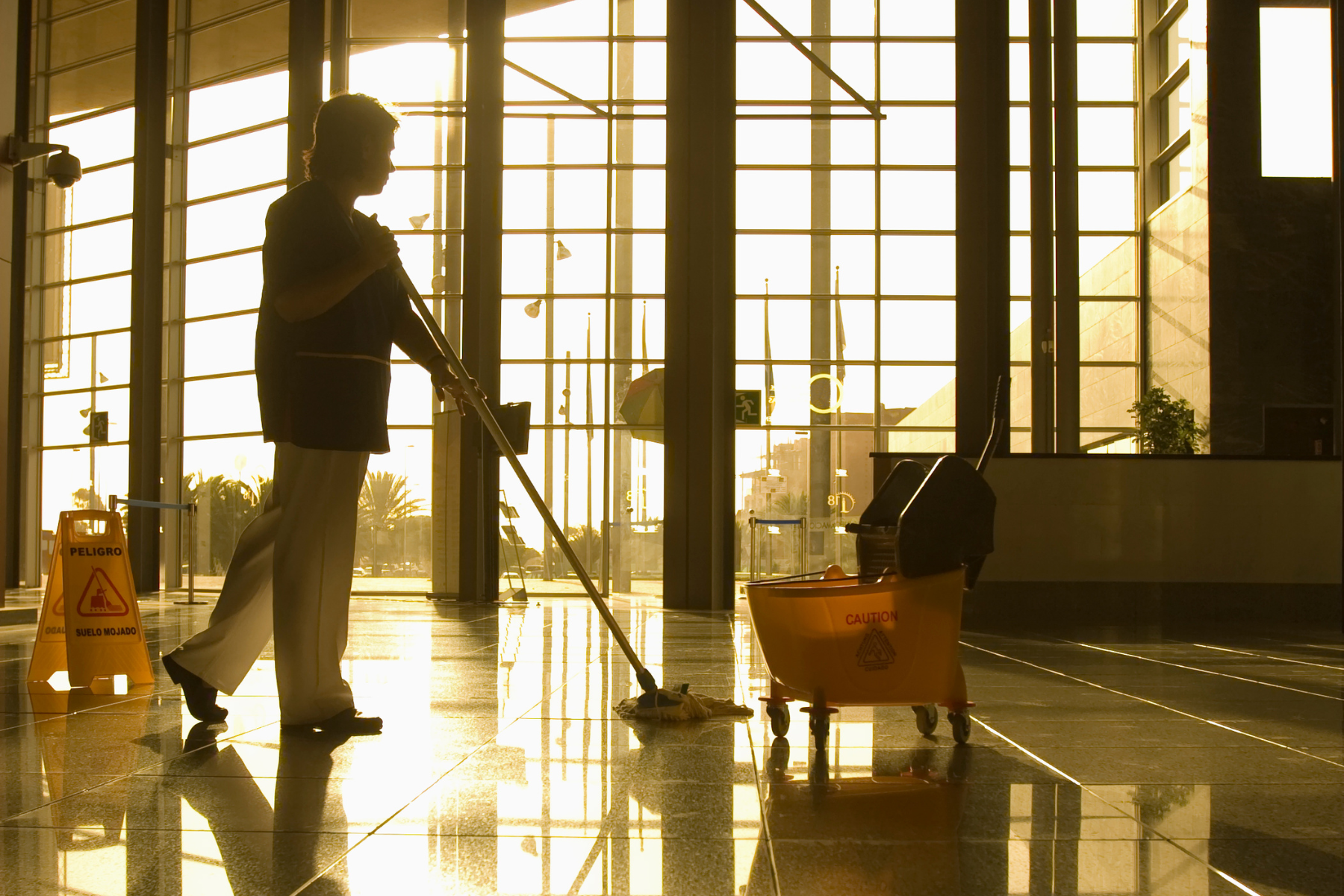 The Science of Clean Boost Health with Professional Cleaning Services